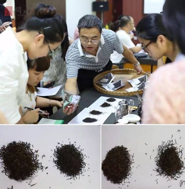 1xBit体育中国官网-策略与技艺双管齐下，球队竞技展现无限魅力的简单介绍